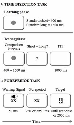 Dissociating Explicit and Implicit Timing in Parkinson’s Disease Patients: Evidence from Bisection and Foreperiod Tasks